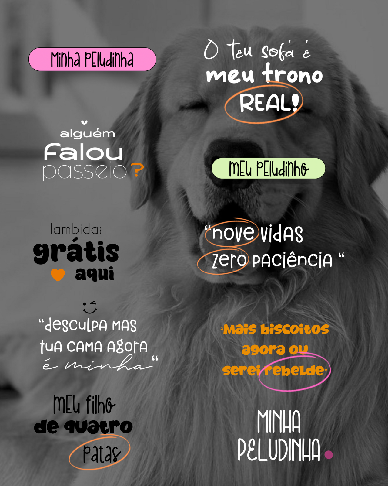 Design-sem-nome-2024-11-23T132543.336.png